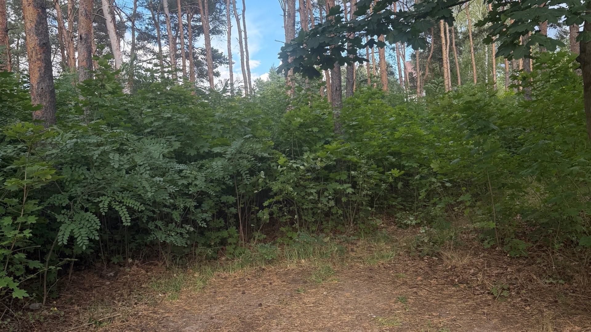 Działka na sprzedaż